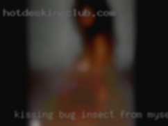 Kissing bug insect from myself).